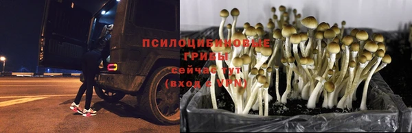 героин Белоозёрский