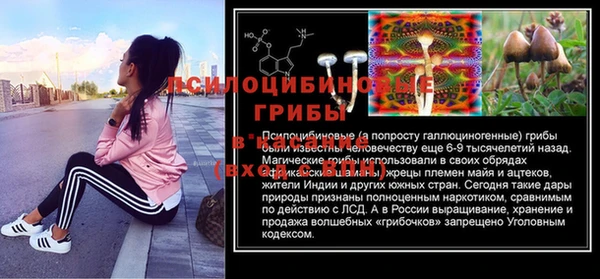 твердый Белокуриха