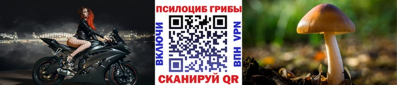 купить  сайты  Красный Кут  блэк спрут онион  Галлюциногенные грибы прущие грибы 